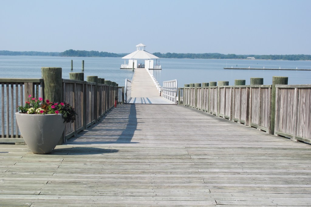 Gear Heads:  Cycling on the Eastern&nbsp;Shore