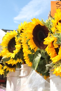 Growing up Green — Montgomery Farm Women’s&nbsp;Market