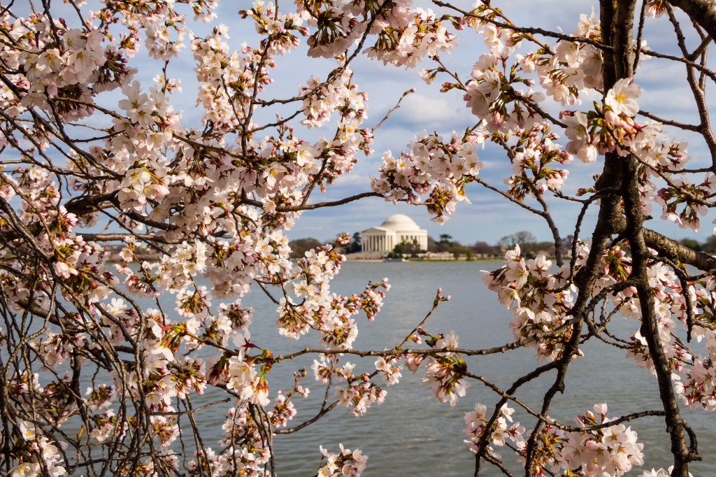 Where to Stay in Washington DC in&nbsp;2019