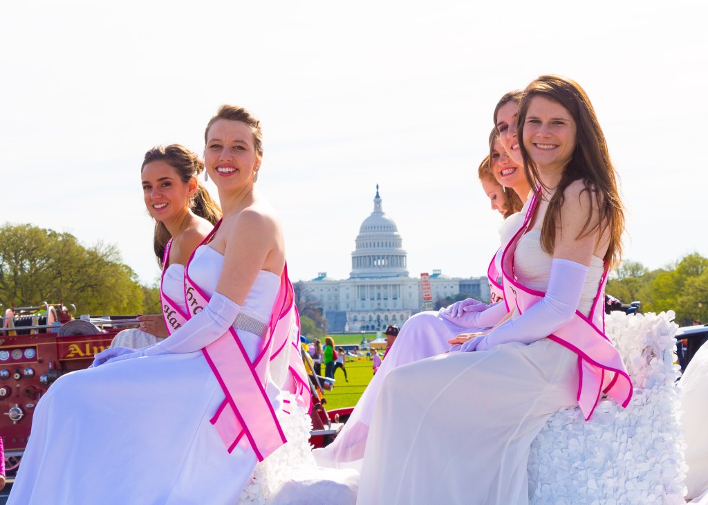 Everybody Loves a&nbsp;Parade