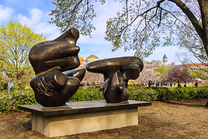 282853705_Sklarew_Renee_Blossom