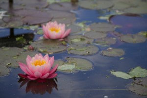 untitled (15 of 1540)