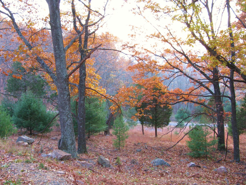 Autumn Explorations in the&nbsp;MidAtlantic