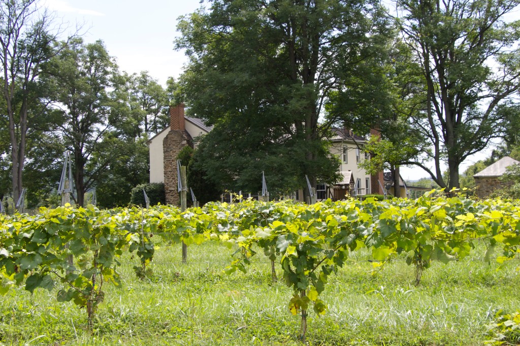 Virginia Wineries & Four Scenic&nbsp;Hikes