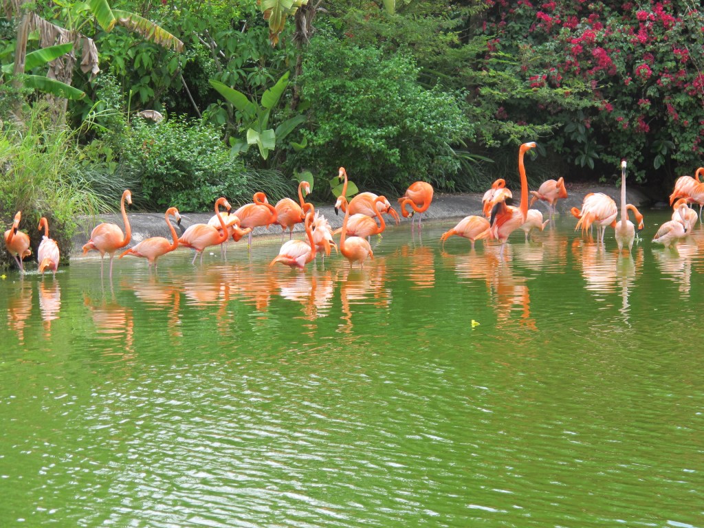 Road Tripping in South&nbsp;Florida