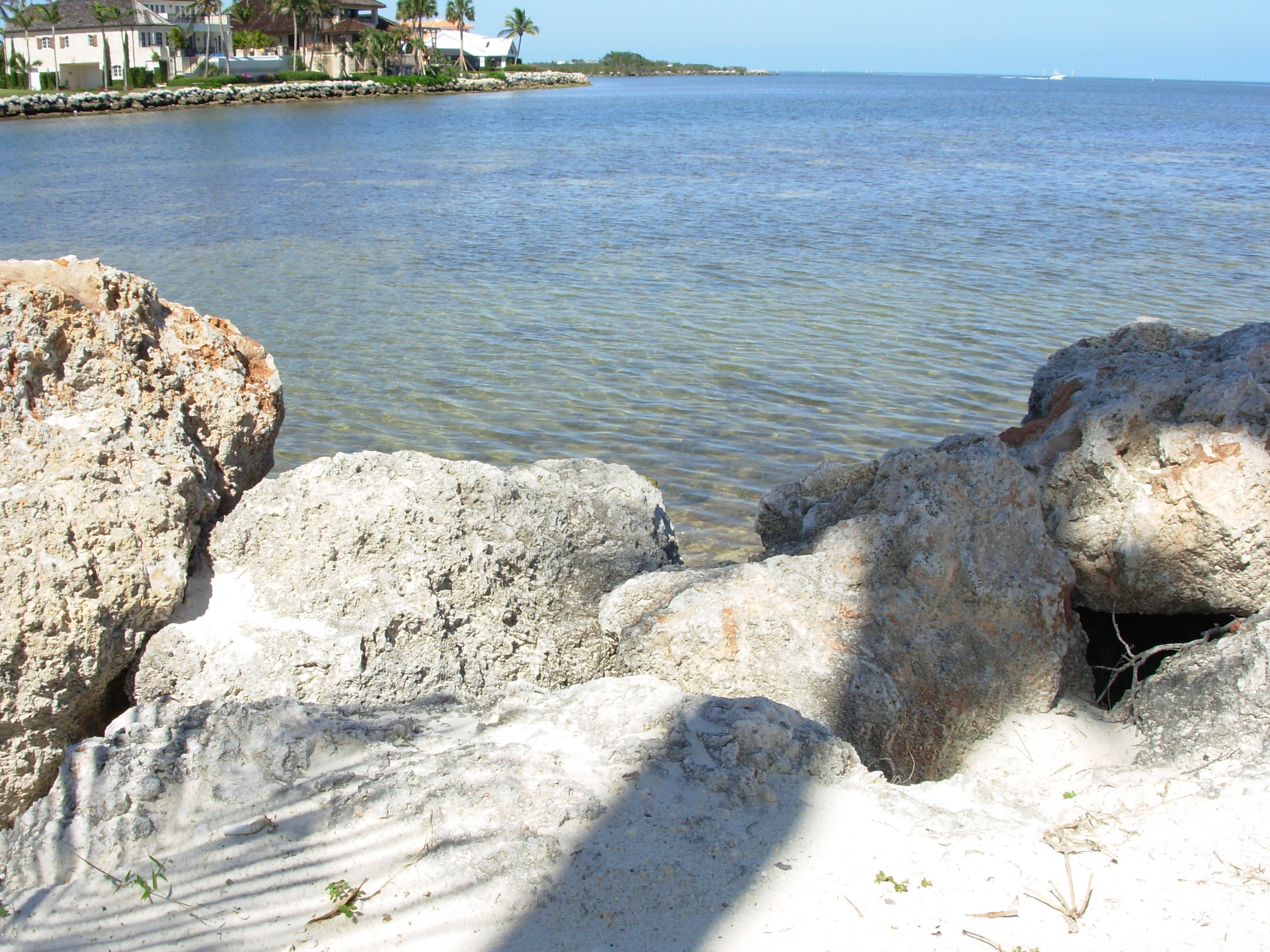 Photos from 2004-2010 3730