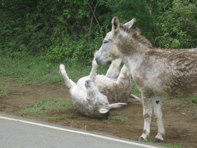 st john 2009 and winter snows 2010 173