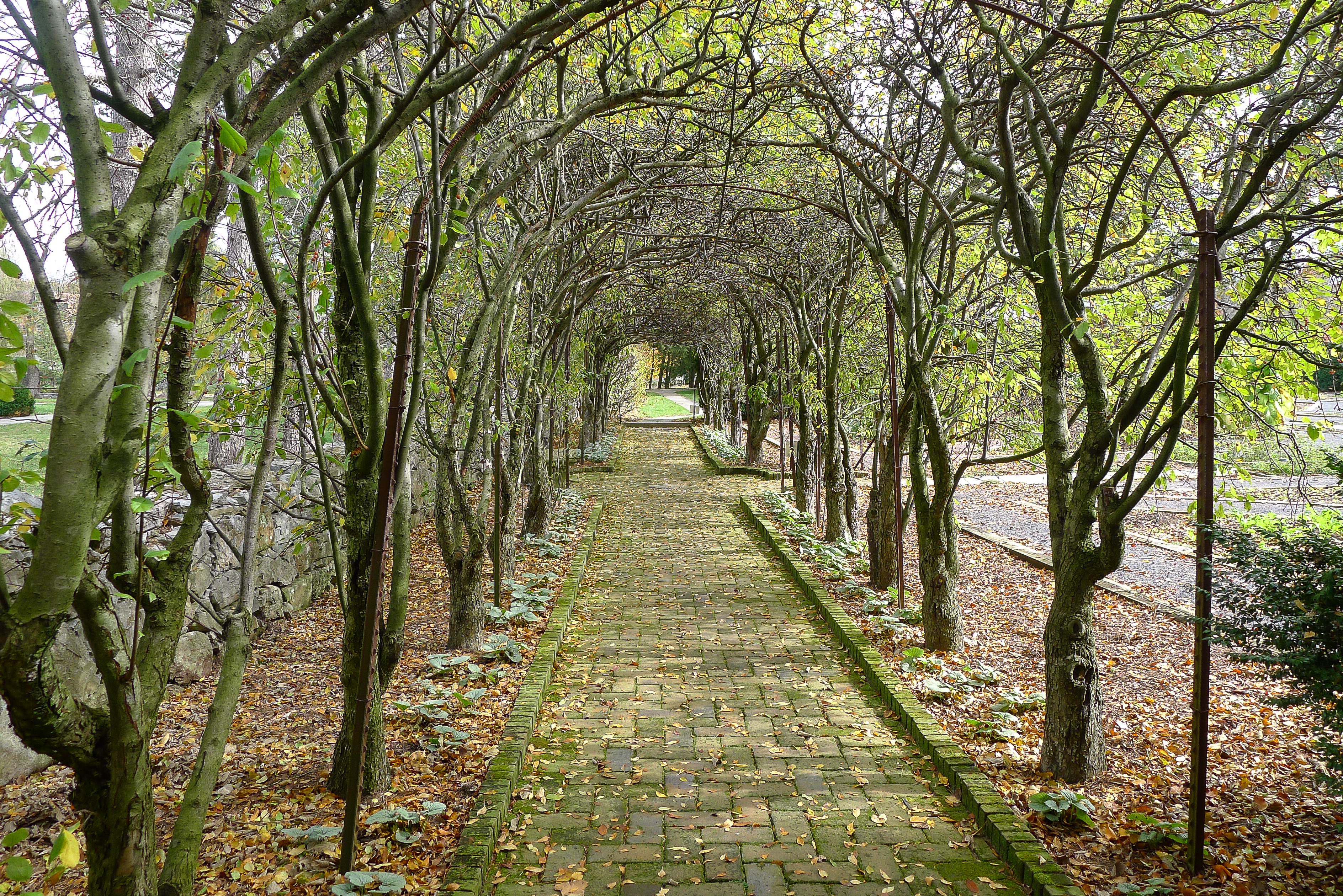 Edited Shenandoah Valley Images (18 of 20)