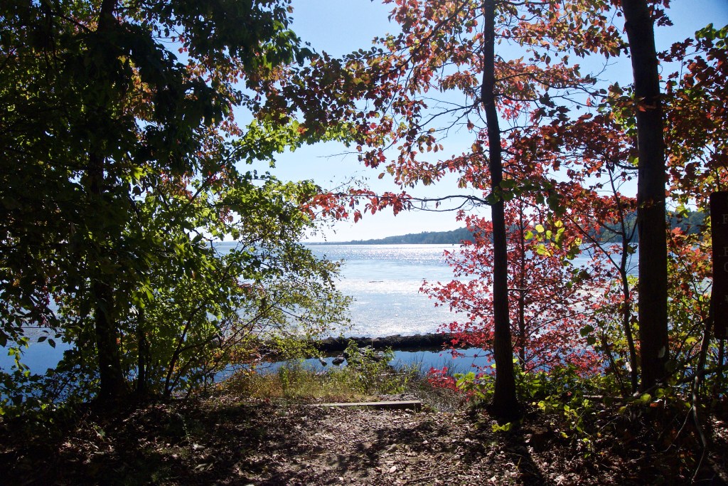 5 Hikes With Colorful Fall Foliage: From 60 Hikes Within 60 Miles of Washington&nbsp;DC