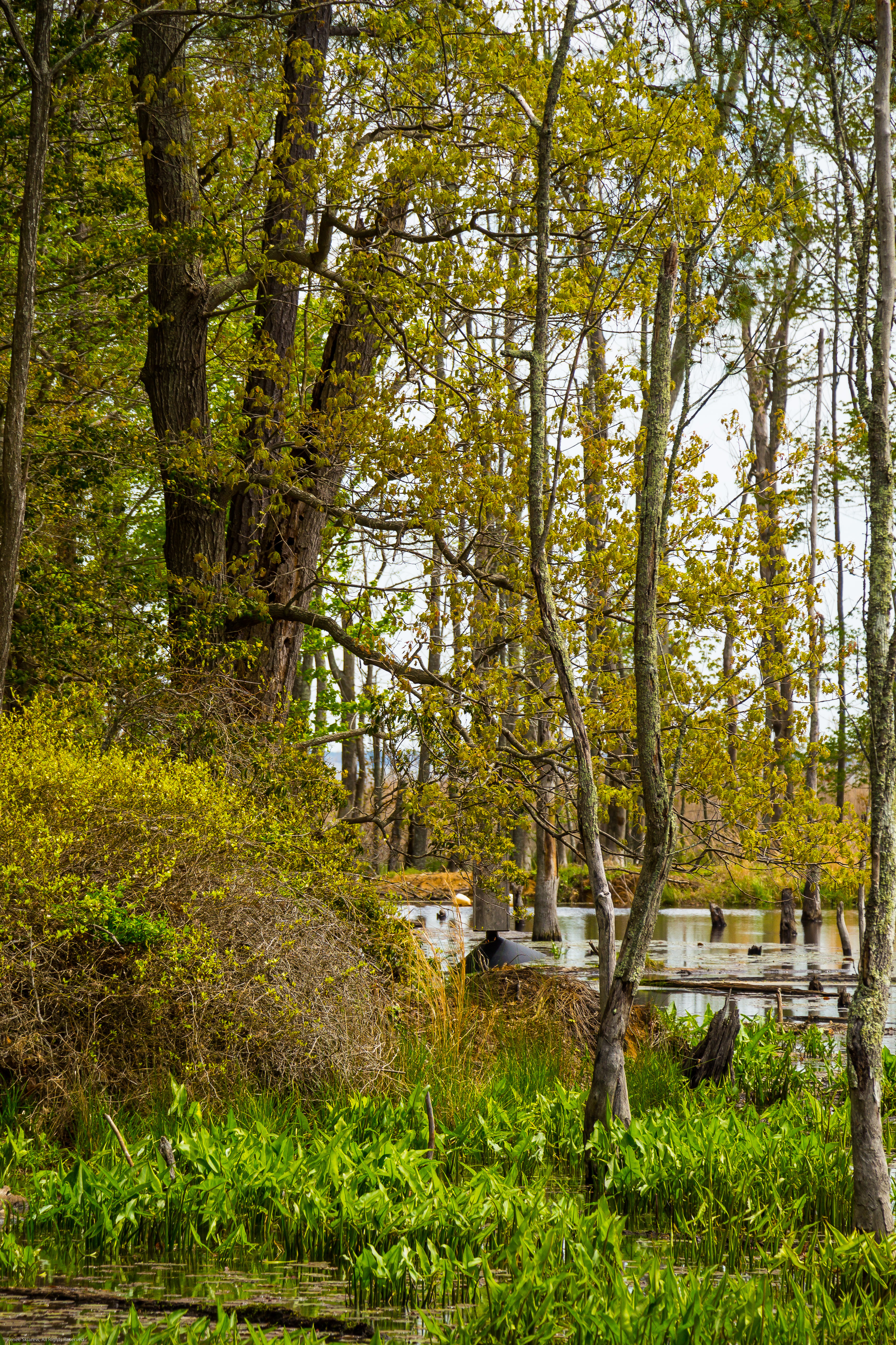 Calvert County, MD-2