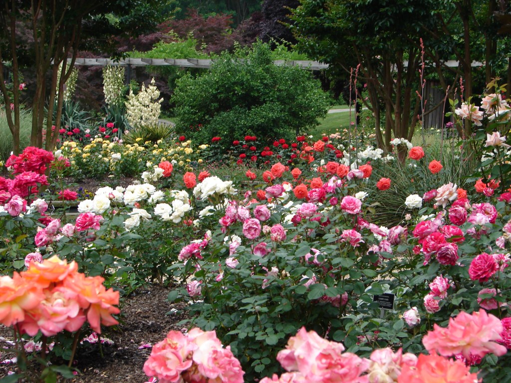 Cool Off in Washington D.C. Area’s Gardens and&nbsp;Parks