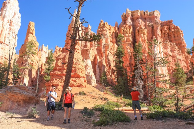 Bryce Canyon National Park Utah00004