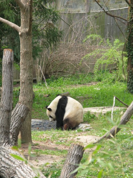Margo brunch and zoo 036