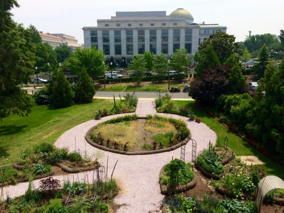 Victory Garden at the National Museum of American History