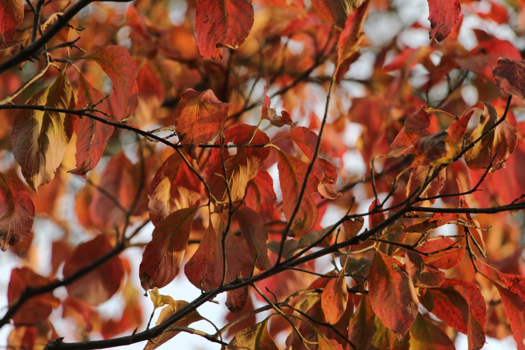 Fall Road Trip: Baltimore&nbsp;County