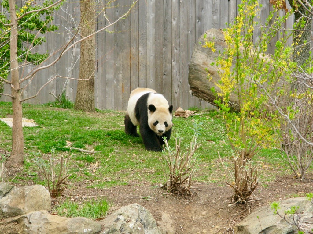 26 Washington D.C. Attractions that  Require or Recommend Advance Tickets (and how to make&nbsp;them)