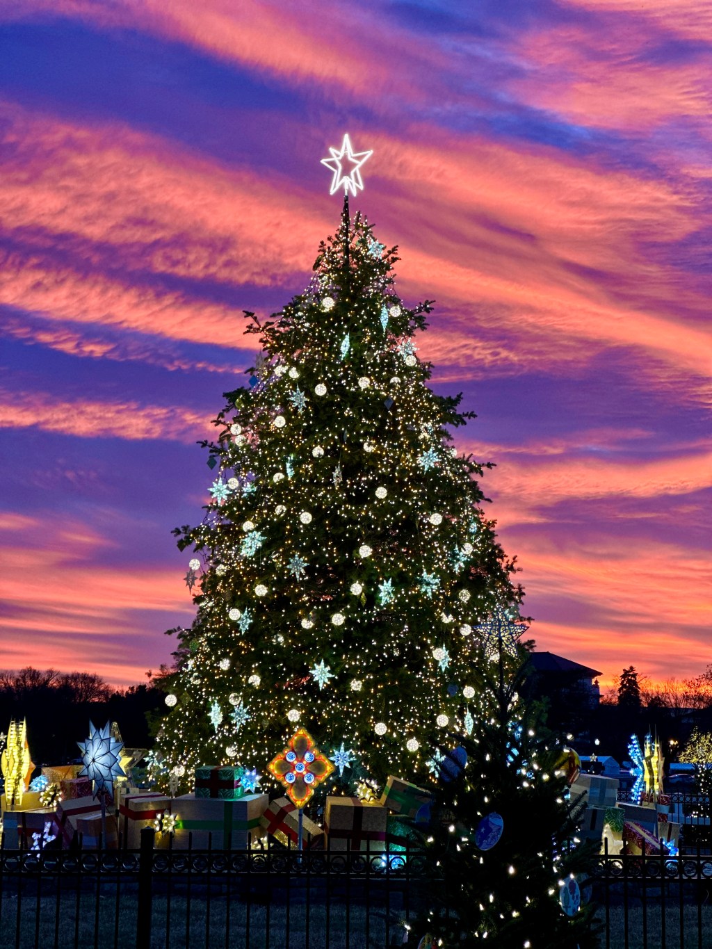 Where to See DC’s Best Holiday Lights in&nbsp;2024